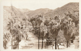 Palm Canyon, Palm Springs, California  Real Photo Post Card - Palm Springs