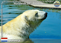 01266 Dierenrijk, NL - Polar Bear  (Ursus Maritimus) - Geldrop