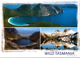 (3 Oø 30) Australia - TAS - Wild Tasmania (posted With Luna Park Stamp) - Wilderness