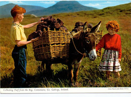 PC - Connemara Galway - Collecting Turf From The Bog - Galway