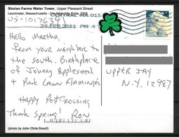 US Massachusetts Postcard With Bear Stamp , Circulated - Briefe U. Dokumente