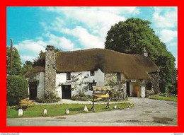 CPSM/pf  YEALMPTON (Angleterre).  Old Mother Hubbard's Cottage, Restaurant. ..*163 - Plymouth