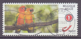 België - Duostamp  - Vogels - Parkieten - Zonder Papierresten - Usati