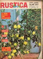 RUSTICA N°5 1961 Hibiscus Muguet Melon Pigeon Vintage French Gardening Magazine - Jardinería