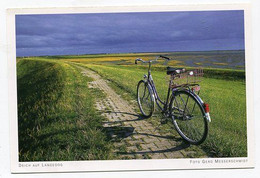 AK 115463 GERMANY - Dike On Langeoog - Langeoog