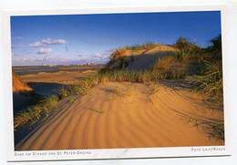 AK 115468 GERMANY - Düne Am Strand Von St. Peter-Ording - St. Peter-Ording