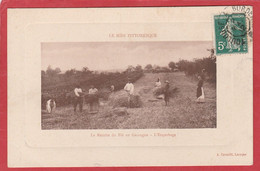 Lot Et Garonne - La Récolte Du Blé En Gascogne - L'Engerbage - Laroque Timbault