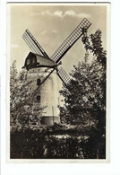 Knokke  Ancien Maison MERE SISKE  De Molen - Le Moulin - Knokke