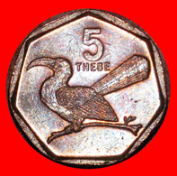 * SOUTH AFRICA (1998-2009): BOTSWANA  5 THEBE 2002 BIRD! LOW START   NO RESERVE! - Botswana