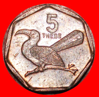 * SOUTH AFRICA (1998-2009): BOTSWANA  5 THEBE 2009 BIRD! LOW START   NO RESERVE! - Botswana