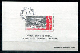 FRANZÖSISCH ANDORRA Block 1, Bl.1 Canc 7.2.84 - FRENCH ANDORRA , ANDORRE FRANÇAISE - Blocks & Sheetlets