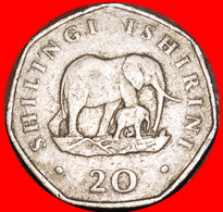 * ELEPHANT WITH CALF (1990-1991): TANZANIA  20 SHILLINGS 1991! MWINYI (1985-1995) · LOW START · · NO RESERVE! - Tanzania