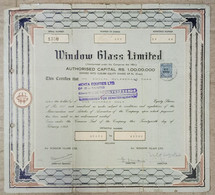 INDIA 1962 WINDOW GLASS LIMITED, GLASS MANUFACTURER, GLASS INDUSTRY.....SHARE CERTIFICATE - Industrie