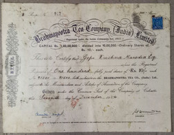 INDIA 1954 BRAHMAPOOTRA TEA COMPANY (INDIA) LIMITED, TEA GARDEN, TEA ESTATE.....SHARE CERTIFICATE - Agriculture