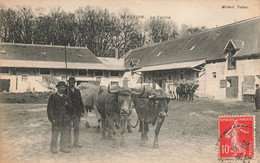 Beauvoir * Intérieur De La Ferme * Attelage De Boeufs * Agriculture - Sonstige & Ohne Zuordnung