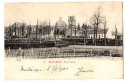 SCHERPENHEUVEL - Montaigu - Panorama  - Verzonden In 1902 - No 4 - Scherpenheuvel-Zichem