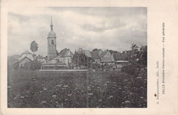 FRANCE - 90 - DELLE - Vue Générale - Carte Postale Ancienne - Delle