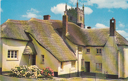 DREWSTEIGNTON TRADITIONAL HOUSE - Dartmoor