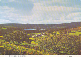 DARTMOOR SHEEPSTOR PANORAMA - Dartmoor