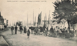 Pornic * Aoüt 1909 , Couchage De La Sardine , Les Quais - Pornic