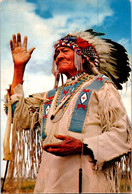 (3 Oø 31) Older - America - Indian Chef - Chief Bull - America