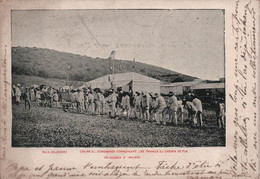 Nouvelle Calédonie - Equipe De Condamnes Commençant Les Travaux De Chemin De Fer - Carte Postale Ancienne - - Neukaledonien