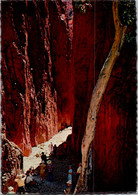 (3 Oø 35) Australia - NT - Standley Chasm - Sin Clasificación