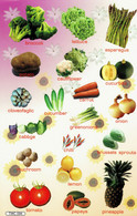 Gemüse Kürbis Kartoffel Aufkleber / Vegetable Potato Onion Sticker A4 1 Bogen 27 X 18 Cm ST073 - Scrapbooking