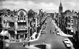 Belgique - Flandre Occidentale - Knokke - Knocke-Zoute - Avenue Dumortier - Knokke