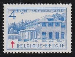 Belgie   .   OBP  .   839     .    **   .     Postfris   .   /   .  Neuf Avec Gomme Et SANS Charnière - Nuovi