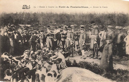 Fontainebleau * La Casse à Courre En Forêt * Vénerie * Avant La Curée - Fontainebleau