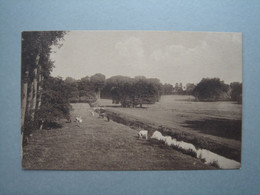 Parc De Cambron - La Dendre - Brugelette