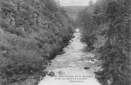 MONTFAUCON     ENVIRONS  GORGES DE LA DUNIERE - Montfaucon En Velay