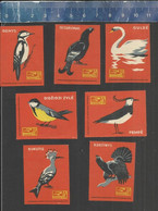 WOODPECKER SWAN BLACK GROUSE TIT LAPWING ETC.  - BIRDS  Matchbox Labels LITHUANIA - Zündholzschachteletiketten