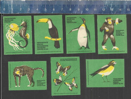 ANIMALS ZOO  SEAHORSE TUCAN PENGUIN CHIMPANZEE BUTTERFLY MEDUSA SONGBIRD Matchbox Labels LITHUANIA - Zündholzschachteletiketten