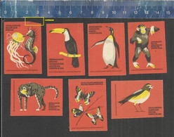 ANIMALS ZOO  SEAHORSE TUCAN PENGUIN CHIMPANZEE BUTTERFLY MEDUSA SONGBIRD Matchbox Labels LITHUANIA - Zündholzschachteletiketten