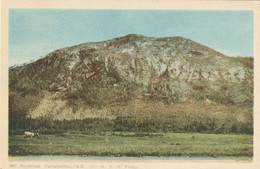 Mount Sugarloaf, Campbellton, New Brunswick - Altri & Non Classificati