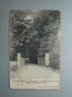 Delcampe - Brugelette - Ecole Normale Et Pensionnat De L'Enfant Jésus. Allée De Saint François Xavier - Brugelette