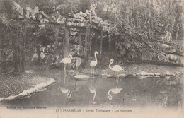 CPA   13   P 92 MARSEILLE   JARDIN ZOOLOGIQUE - Parcs Et Jardins