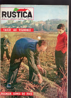 RUSTICA N°7 1961 Vignoble Anémone Pois Cresson écrevisse Gardening Magazine - Garden