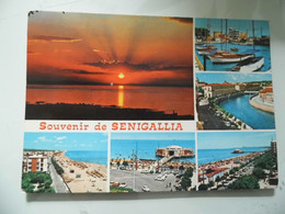 Cartolina Viaggiata  "Souvenir Di SENIGALLIA" Vedutine 1982 - Senigallia