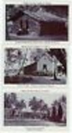 SOLOMON ISLANDS 11 Vintage Postcards Pre-1940 (L2952) - Islas Salomon