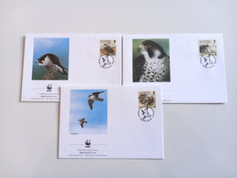 Temas -Aves 3 FDC Com Carimbos Diferentes - Rebhühner & Wachteln