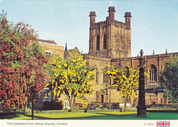 CHESTER CATHEDRAL - Chester