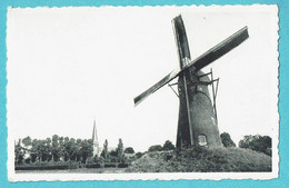 * Retie (Antwerpen - Anvers) * (Nels, Uitgave Luma) Stenen Akker Molen, Moulin, Merlen Moelans 1845 - Retie