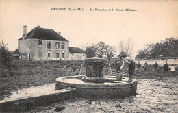 Vaudoy         77      Fontaine Et Vieux Château    (voir Scan) - Altri & Non Classificati