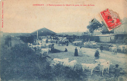 Corbigny * L'embarquement Du Bétail à La Gare , Un Jour De Foire * Marché Aux Boeufs * Ligne Chemin De Fer - Corbigny