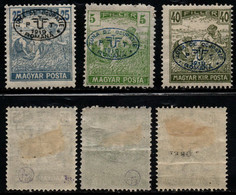 1620- DEBRECZEN - FIRST ISSUE - 1919 - SC#: 2N8 // 2N14 - MH - 2 VAL. EXPERTIZED AT BACK - Debreczen