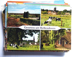 Nederland Holland Pays Bas Hellendoorn Met Koeien En Molen - Hellendoorn