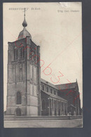 Herenthout - De Kerk - Postkaart - Herenthout